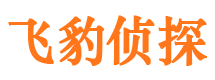 莲湖市私家侦探